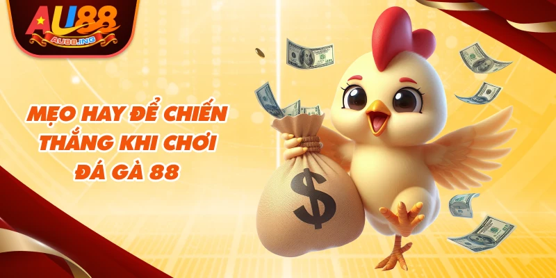 Mẹo hay để chiến thắng khi chơi đá gà 88