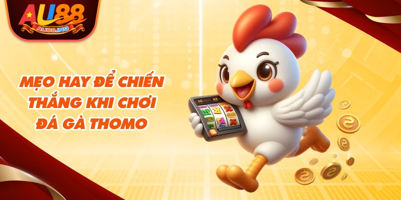 Mẹo hay để chiến thắng khi chơi đá gà thomo